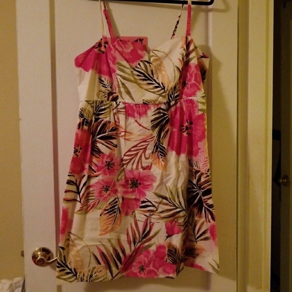 Torrid tropical dress